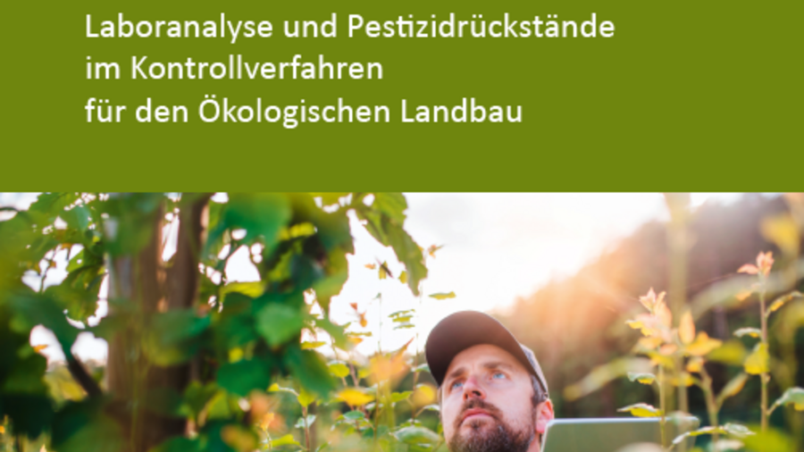 Cover Handbuch zu Laboranalysen und Rückständen