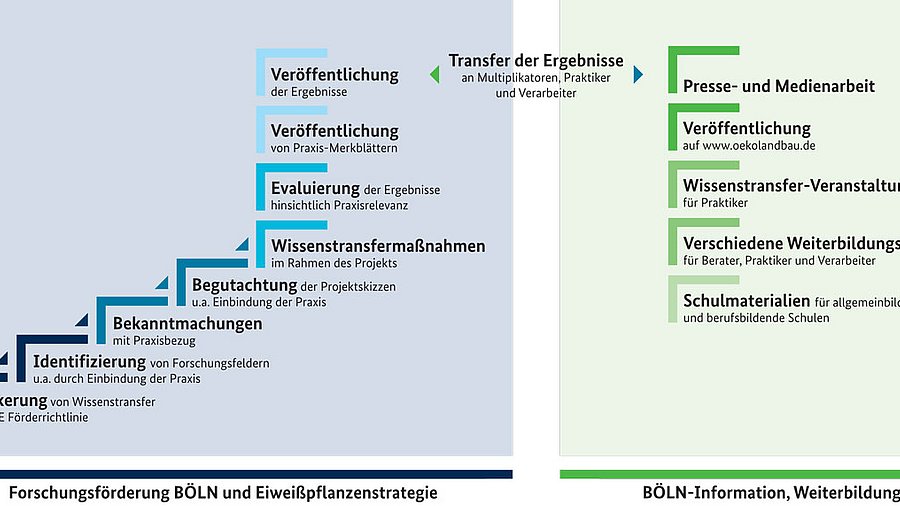 Schematische Darstellung BÖLN-Wissenstransfer, Klick führt zu Großansicht