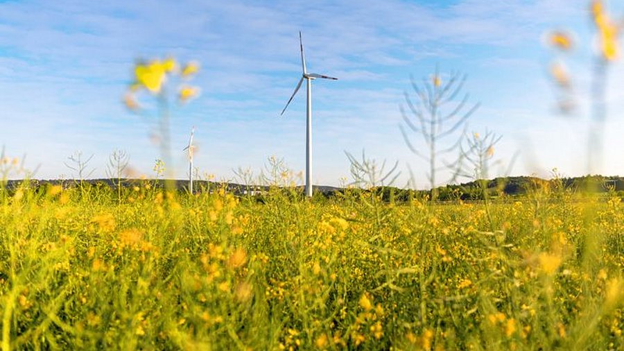 Windrad auf Feld. Foto: Tobias Schwarz iStock / Getty Images Plus via Getty Images