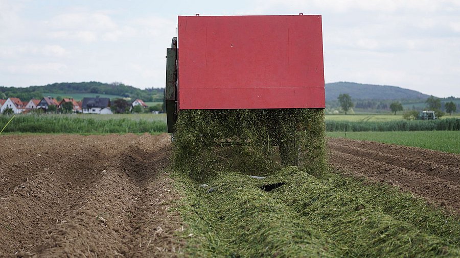 Mulchausbringung