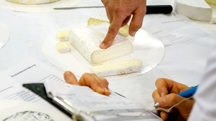 Zeigefinger drückt auf einen Ziegenkäse