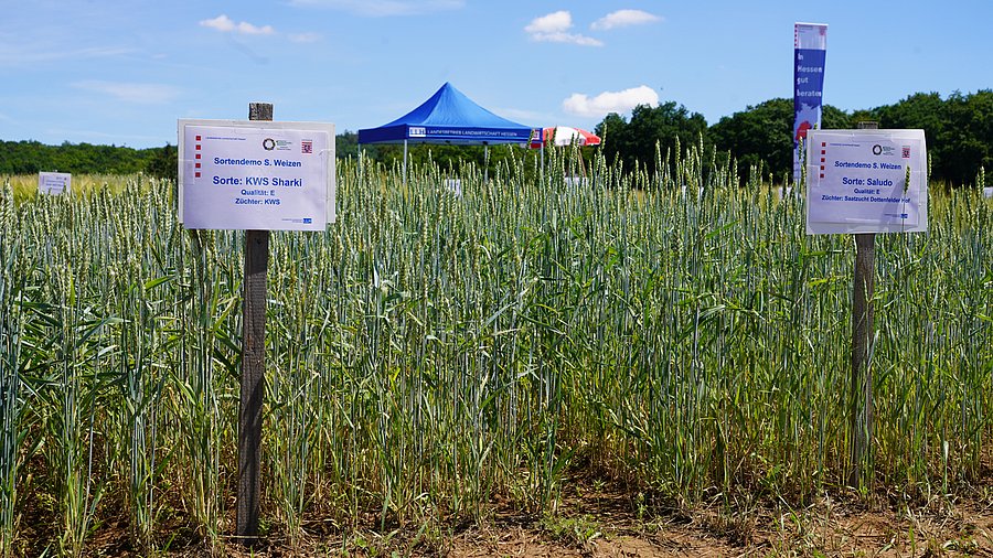 Getreidefelder mit zwei Hinweisschildern