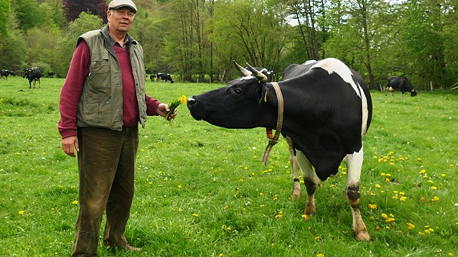 Landwirt mit horntragender Kuh. Foto: BÖLN